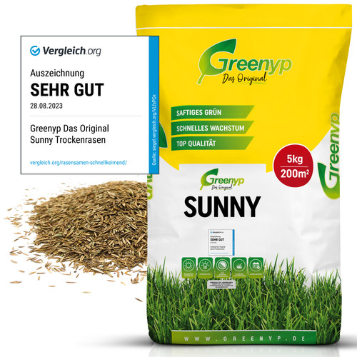 Sunny prato secco resistente - prato,